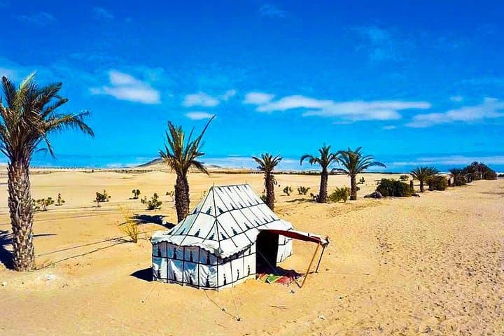 Bedouin Dromedary Ride in Ica Desert — Huacachina Camel Experience photo 3