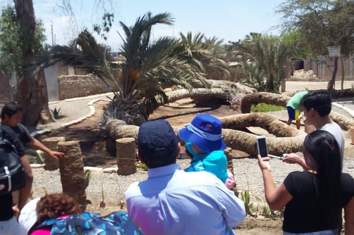 Paracas & Ica 2-Day Coastal Wildlife and Desert Adventure photo 6
