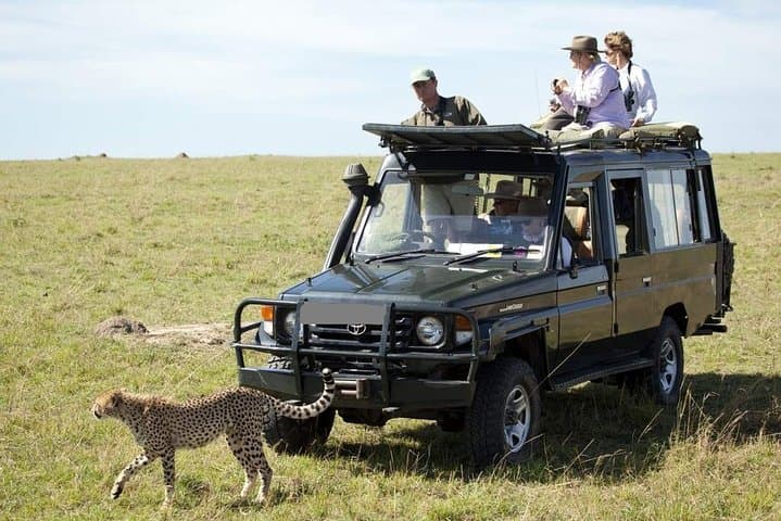 8-Day Best of Kenya Wildlife Safari on 4x4 Land Cruiser — Ol Pejeta to Masai Mara