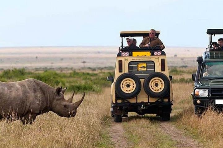 3-Day Private Flying Safari to the Masai Mara: 4x4 Game Drives & Big Five Viewing photo 3