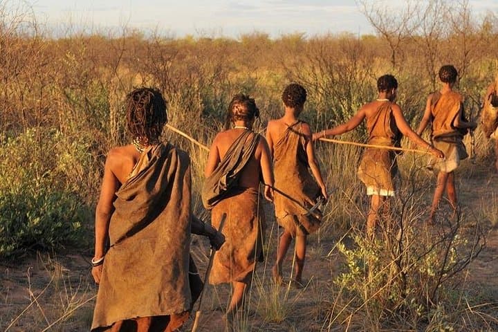 Touch of Kalahari and Okavango Delta: 8-Night Wild Camping Safari from Maun