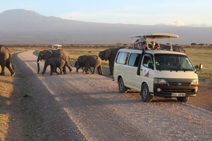 3-Day Masai Mara Safari: Mid-Range Private Wildlife Experience photo 2