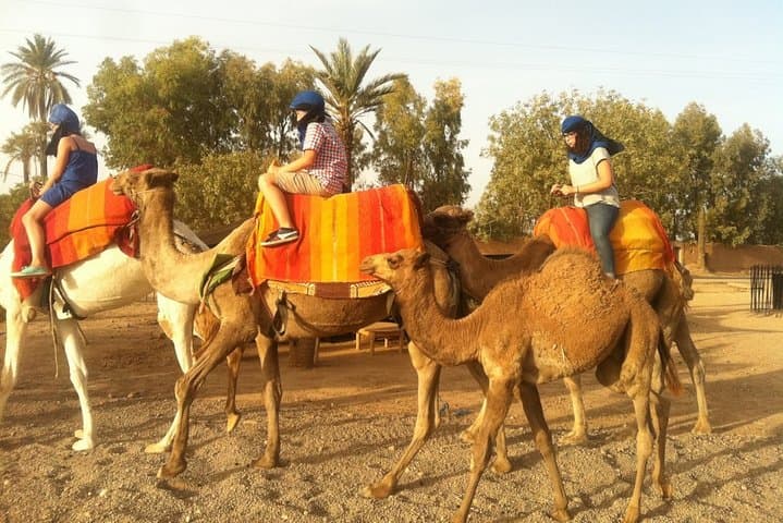 Zagora Desert 2-Day: Berber Camp, Camel Ride & Ait Ben Haddou from Marrakech photo 3