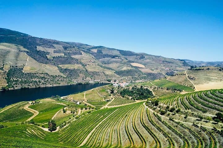 Douro Valley Private Day Tour from Porto: Wine, River Rabelo & Scenic Stops photo 5