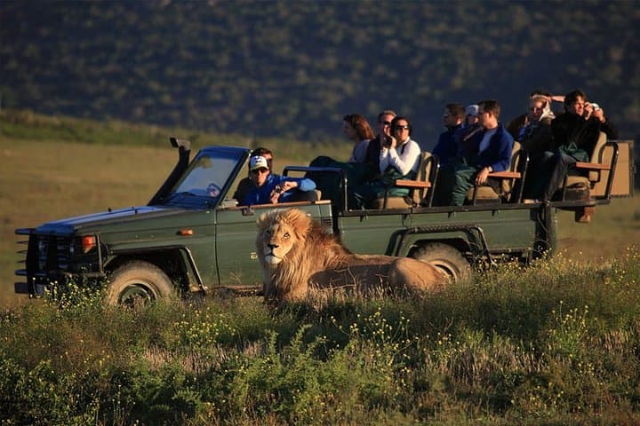 Luxury 2-Day Garden Route Safari from Cape Town — Game Drives, Penguins & Cape Agulhas photo 1