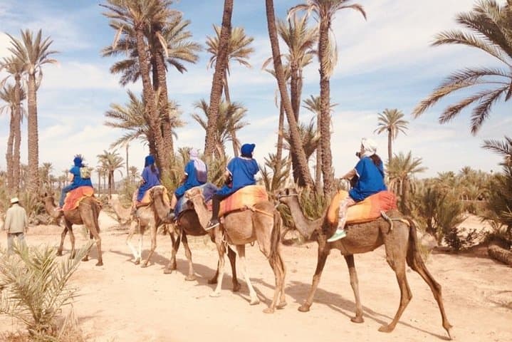 Ourika Valley Day Trip: Berber Villages & Setti Fatma Waterfalls from Marrakech photo 6