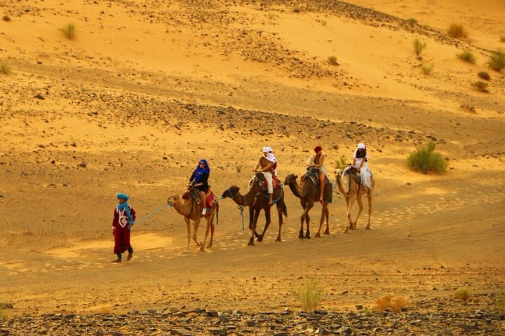 Overnight Luxury Desert Camp and Camel Ride in Zagora photo 4