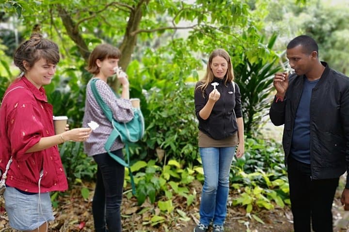 Durban in a Moment: Botanical Gardens, Tribal Museums & Traditional Markets Walking Tour