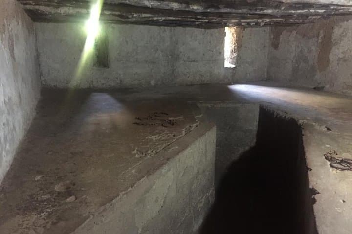 Stone Town & Prison Island: Private Day Tour from Zanzibar photo 3