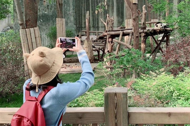 Chongqing to Chengdu: 5-Day Private Cultural & Nature Tour photo 4