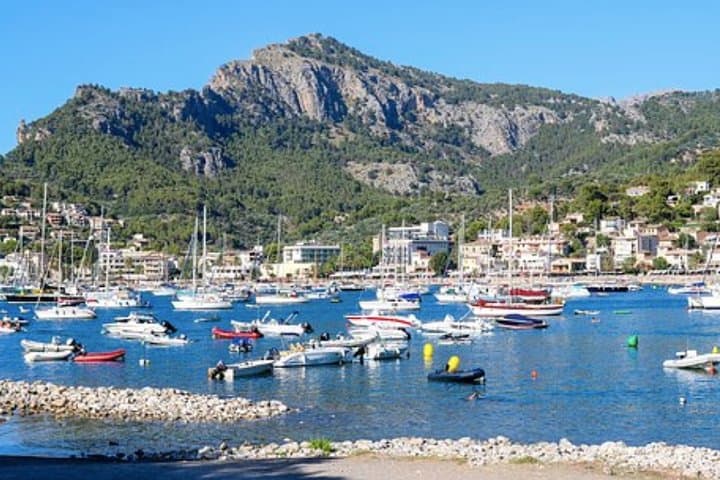 Mallorca Shore Excursion: Exclusive Soller and Valldemossa Day Trip from Palma photo 4