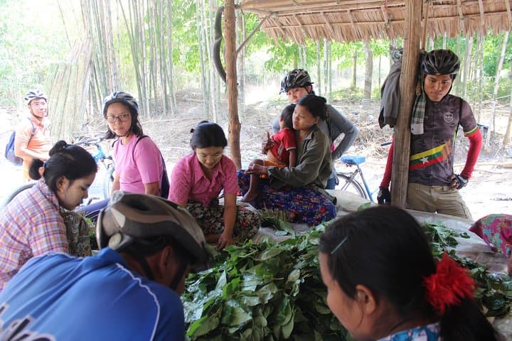 Cycle Dala to Twantay: Yangon River Delta Biking Adventure photo 2