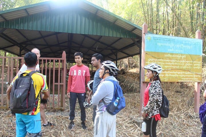 Cycle Dala to Twantay: Yangon River Delta Biking Adventure photo 4