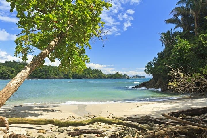 Manuel Antonio Beach and San José: 4-Day Costa Rica Short Break photo 3