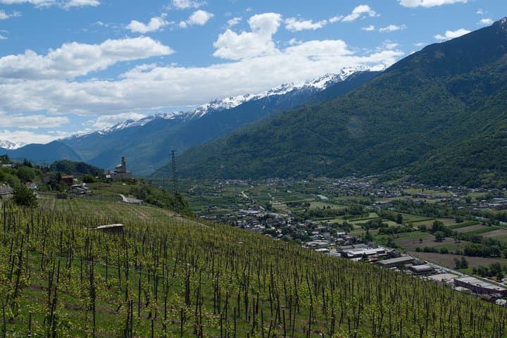 Valtellina Day Trip from Milan: Wine Tasting Among Alpine Terraces photo 2