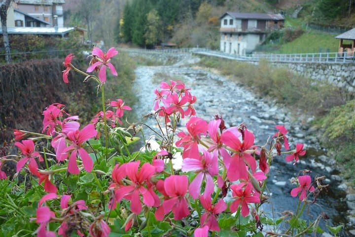 Valtellina Day Trip from Milan: Wine Tasting Among Alpine Terraces