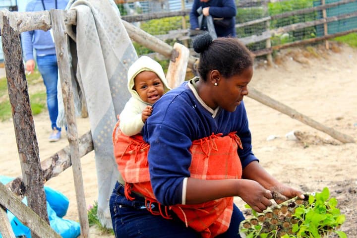 Khayelitsha Township Tour: Community Arts, Food & Responsible Cape Town Walk photo 3