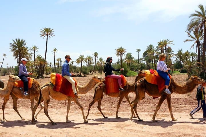 Camel Ride in Marrakech Palmeraie: One-Hour Palm Grove Excursion with Mint Tea photo 2
