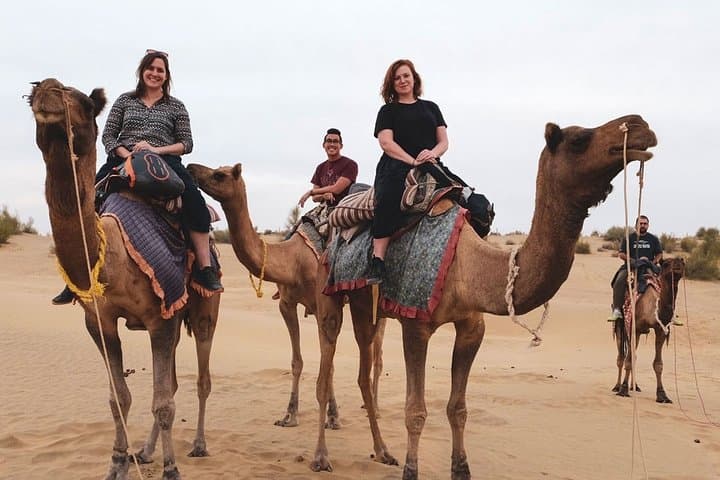 Camel Ride in Marrakech Palmeraie: One-Hour Palm Grove Excursion with Mint Tea photo 3
