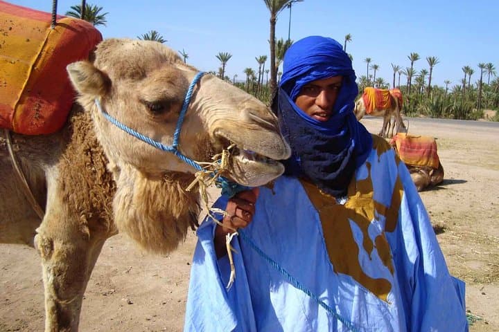Camel Ride in Marrakech Palmeraie: One-Hour Palm Grove Excursion with Mint Tea photo 4