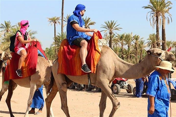 Camel Ride in Marrakech Palmeraie: One-Hour Palm Grove Excursion with Mint Tea photo 6