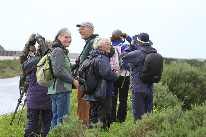 Half-Day Birdwatching at Abicada Marsh: Ria de Alvor Wildlife Walk