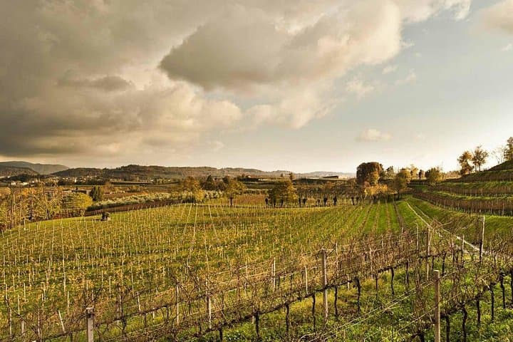 Franciacorta Day Trip from Milan — Private Sparkling Wine Tour & Lake Iseo Stroll photo 2
