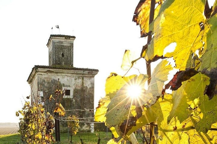 Franciacorta Day Trip from Milan — Private Sparkling Wine Tour & Lake Iseo Stroll photo 3