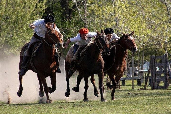 Buenos Aires Super Saver: City Tour, Gaucho Estancia Day & Tango Dinner-Show photo 4