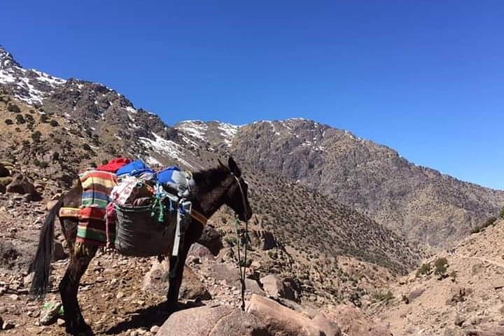 Mount Toubkal Trek: 2-Day Ascent to North Africa’s Highest Peak photo 2