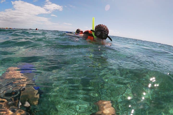 Puerto Morelos Reef Snorkel, ATV & Zipline Day Trip with Cenote Swim photo 3