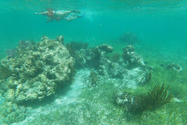 Puerto Morelos Reef Snorkel, ATV & Zipline Day Trip with Cenote Swim photo 4