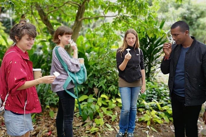 Durban Botanic Gardens to Monkeyland KZN: Botanical History and Primate Safaris photo 3