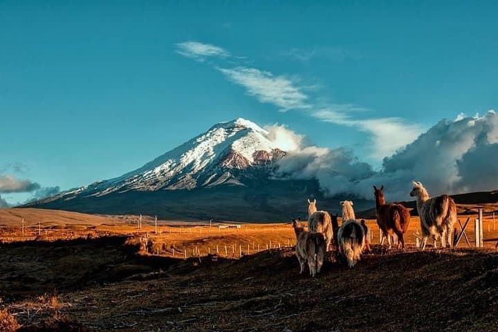 Cotopaxi Hike and Horse: Volcano Day Trip to José Rivas Refuge photo 1