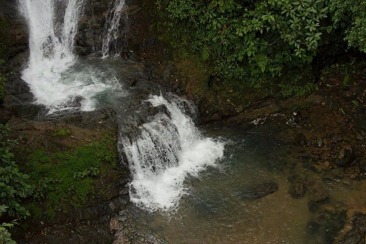 Campesinos Waterfalls and Hanging Bridges Day Trip from Manuel Antonio photo 3