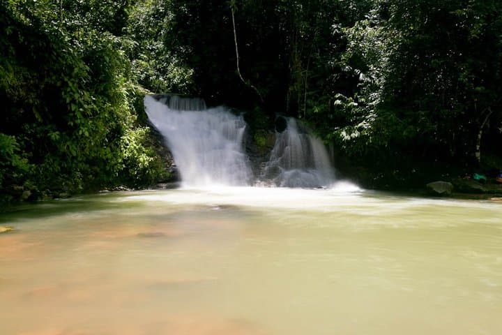Campesinos Waterfalls and Hanging Bridges Day Trip from Manuel Antonio photo 4