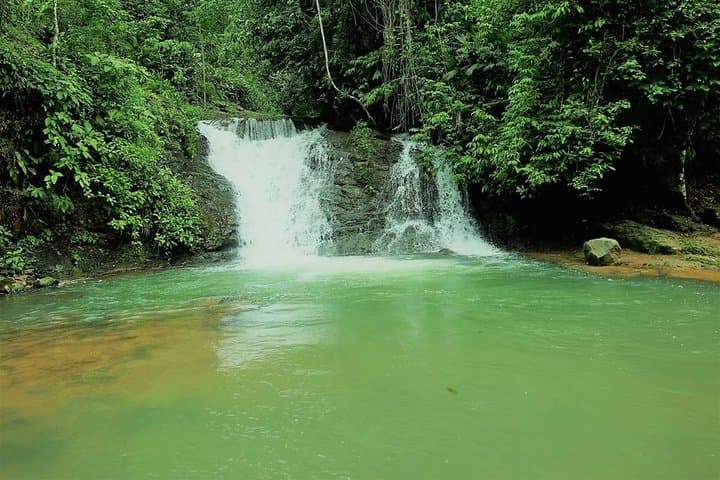 Campesinos Waterfalls and Hanging Bridges Day Trip from Manuel Antonio photo 5