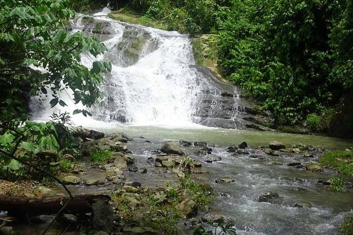 Campesinos Waterfalls and Hanging Bridges Day Trip from Manuel Antonio photo 6