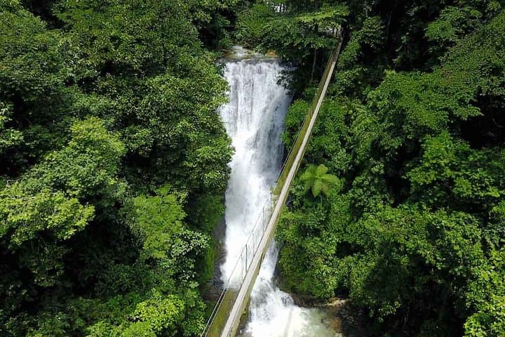 Campesinos Waterfalls and Hanging Bridges Day Trip from Manuel Antonio