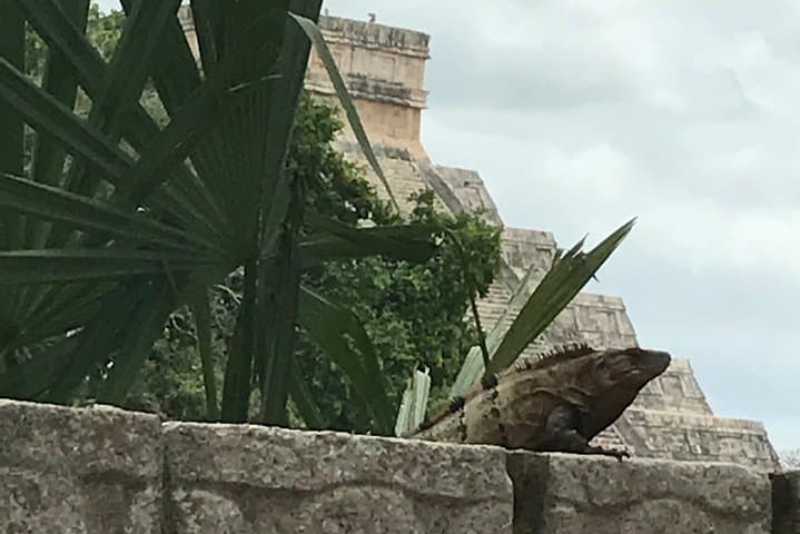 Private Chichen Itza Experience: Cenote Swim, Valladolid & Local Flavors photo 5