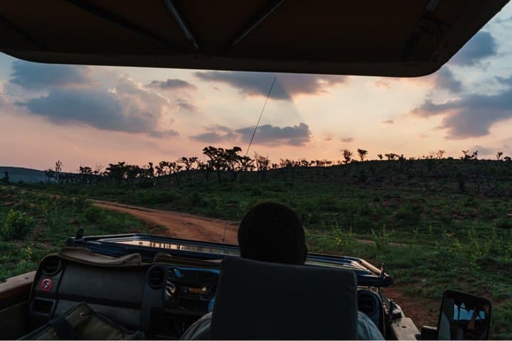 Durban Big 5 Luxury Safari: Full-Day Award-Winning Game Reserve Experience photo 2