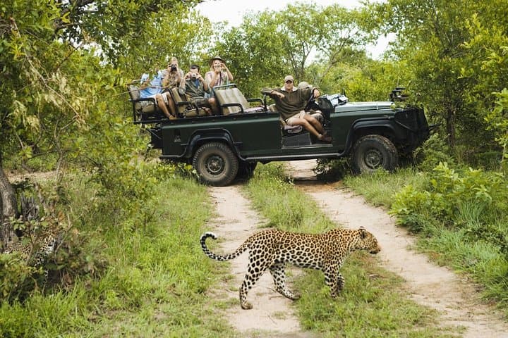Durban Big 5 Luxury Safari: Full-Day Award-Winning Game Reserve Experience