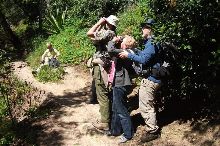 Birdwatching Day in the Monchique Hills: Foia to Caldas de Monchique