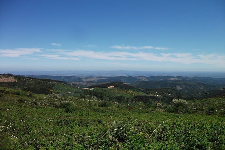 Birdwatching Day in the Monchique Hills: Foia to Caldas de Monchique photo 3