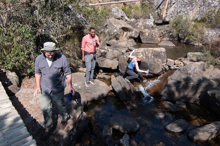Giants Castle Rock Art, Midlands Meander & Mandela Capture Site — Day Tour from Durban photo 5