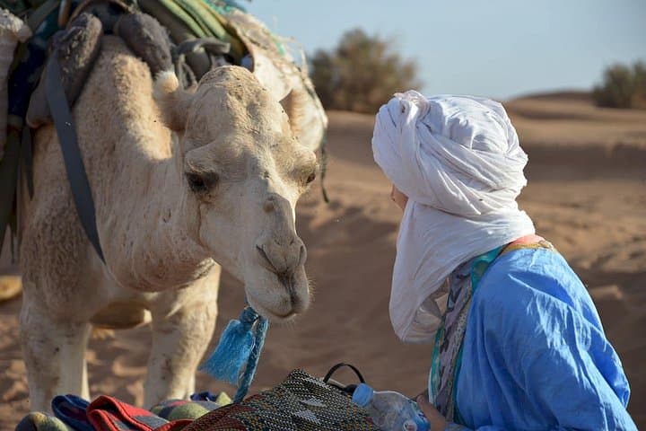 Overnight in Erg Lihoudi: Luxury Desert Camp, Camel Ride & Sandboarding near M’Hamid photo 3
