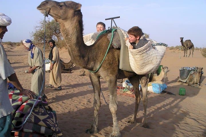 Overnight in Erg Lihoudi: Luxury Desert Camp, Camel Ride & Sandboarding near M’Hamid photo 4