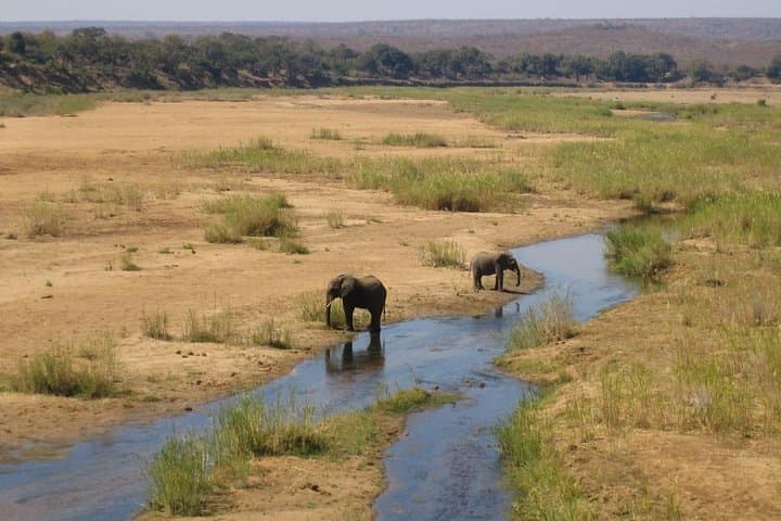 Budget 3-Day Kruger Big 5 Safari from Johannesburg photo 2