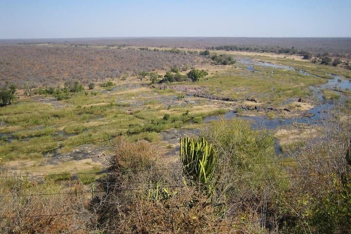 Budget 3-Day Kruger Big 5 Safari from Johannesburg photo 3
