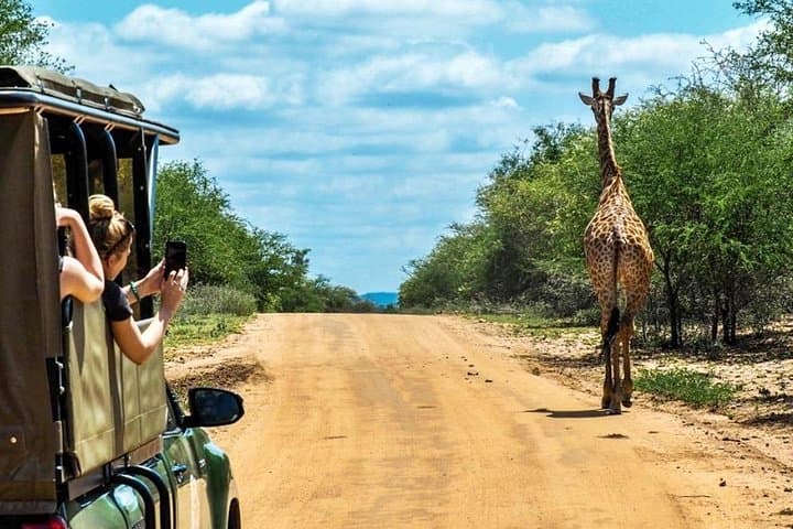 5-Day Kruger National Park & Panorama Route Tented Safari — Big 5 Game Drives and Blyde River Canyon photo 1